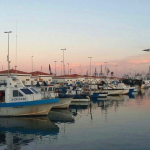 Potenciem Les Iniciatives Polítiques Relacionades Amb El Grau De Castelló