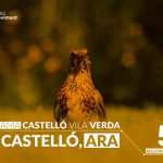 Programa Vila Verda. Una Aposta Política Per Un Castelló Amb El Medi Ambient Al Centre